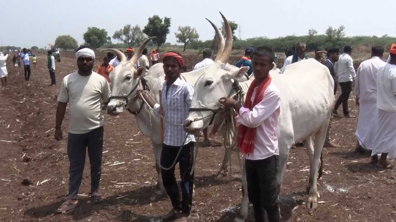 ಒಂದು ನಿಮಿಷದಲ್ಲಿ ಹೆಚ್ಚು ದೂರ ಓಡುವ ಜೋಡಿಯನ್ನು ವಿಜೇತರೆಂದು ಘೋಷಿಸಲಾಯಿತು. ಪ್ರಥಮ ಬಹುಮಾನ 51 ಸಾವಿರ, ದ್ವಿತೀಯ 41 ಸಾವಿರ ಮತ್ತು ತೃತೀಯ 31 ಸಾವಿರ ರೂಪಾಯಿ ಇತ್ತು. ಒಟ್ಟು 9 ಬಹುಮಾನಗಳನ್ನು ನೀಡಲಾಗಿದ್ದು, ಸ್ಪರ್ಧಿಗಳು ಉತ್ಸಾಹದಿಂದ ಪಾಲ್ಗೊಂಡರು.

