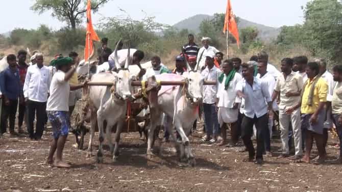 ಗದಗದಲ್ಲಿ ಧೂಳೆಬ್ಬಿಸಿದ ಎತ್ತುಗಳ ಮಿಂಚಿನ ಓಟ ಹೇಗಿತ್ತು ನೋಡಿ!