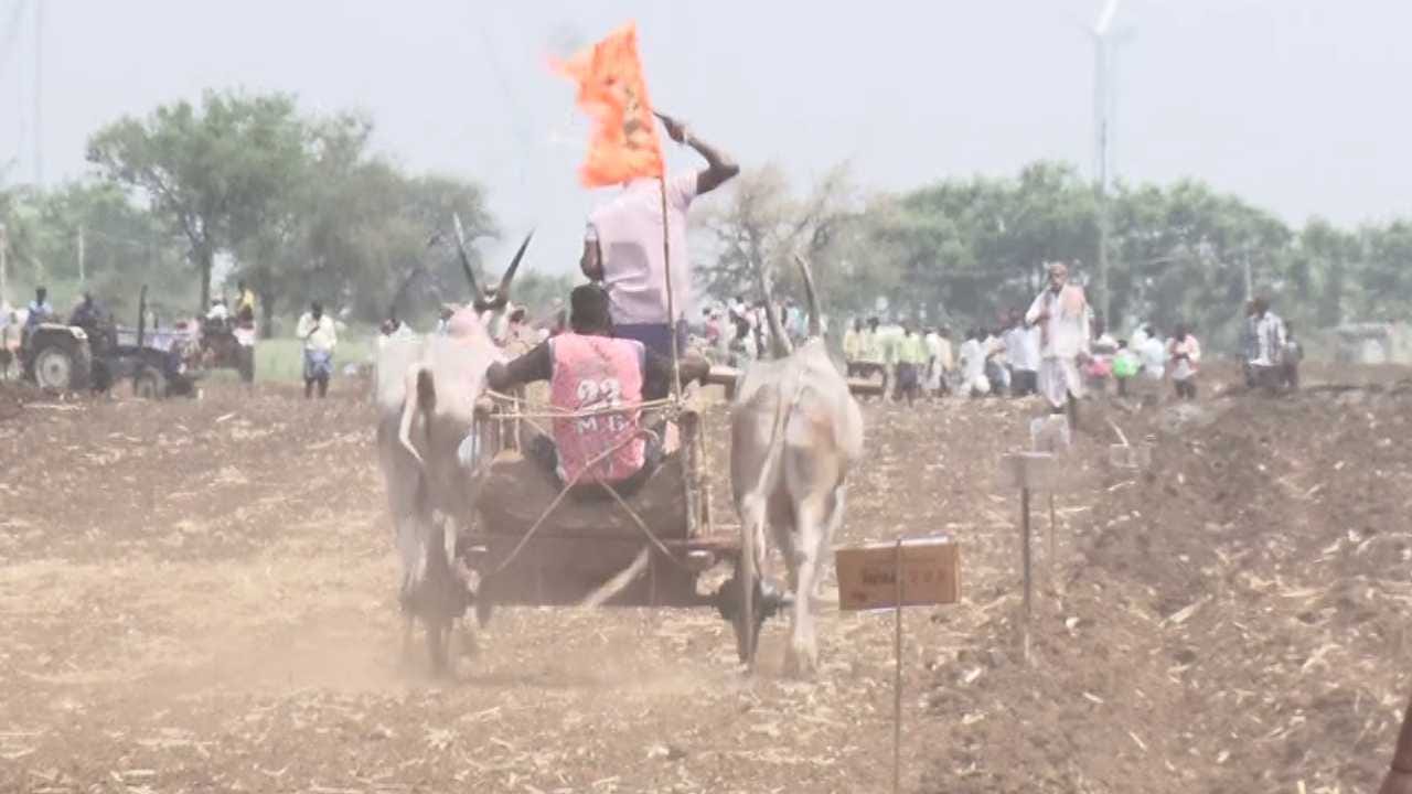 ಎತ್ತುಗಳ ಮಾಲೀಕರು ವಿಶೇಷ ಆಹಾರಗಳಾದ ಹುರುಳಿ, ಜೋಳದ ನುಚ್ಚು, ಹಿಂಡಿ ನೀಡಿ ಎತ್ತುಗಳನ್ನು ಸ್ಪರ್ಧೆಗೆ ತಯಾರಿಸುತ್ತಾರೆ. ಕೃಷಿ ಕೆಲಸದ ಜೊತೆಗೆ ಈ ಕ್ರೀಡೆಗೆ ಹೆಚ್ಚಿನ ಸಮಯ ಮೀಸಲಿಡುತ್ತಾರೆ. ಇದರಿಂದ ರೈತರ ಅಭಿರುಚಿ ಮತ್ತು ಕಾಳಜಿ ಸ್ಪಷ್ಟವಾಗುತ್ತದೆ.
