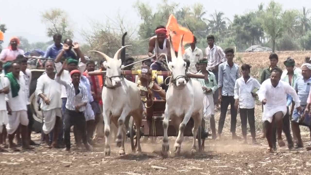 ಗದಗ ಜಿಲ್ಲೆಯ ಮುಂಡರಗಿ ತಾಲೂಕಿನ ಡಂಬಳ ಗ್ರಾಮದಲ್ಲಿ ಬಸವ ಜಯಂತಿ ಅಂಗವಾಗಿ ರಾಜ್ಯಮಟ್ಟದ ಖಾಲಿ ಗಾಡಾ ಓಟ ಸ್ಪರ್ಧೆ ಭರ್ಜರಿಯಾಗಿ ನಡೆಯಿತು. ಗ್ರಾಮದ ರೈತ ಬಾಂಧವರು ಸ್ವಯಂಪ್ರೇರಿತವಾಗಿ ಈ ಕಾರ್ಯಕ್ರಮ ಆಯೋಜಿಸಿದ್ದು, ಇದು ಗ್ರಾಮೀಣ ಸಂಸ್ಕೃತಿಯ ಪ್ರತಿಬಿಂಬವಾಗಿತ್ತು. ವಿವಿಧ ಜಿಲ್ಲೆಗಳಿಂದ ಭಾಗವಹಿಸಿದ ಎತ್ತುಗಳ ಜೋಡಿಗಳು ಸ್ಪರ್ಧೆಗೆ ಮತ್ತಷ್ಟು ಮೆರುಗು ನೀಡಿದವು.