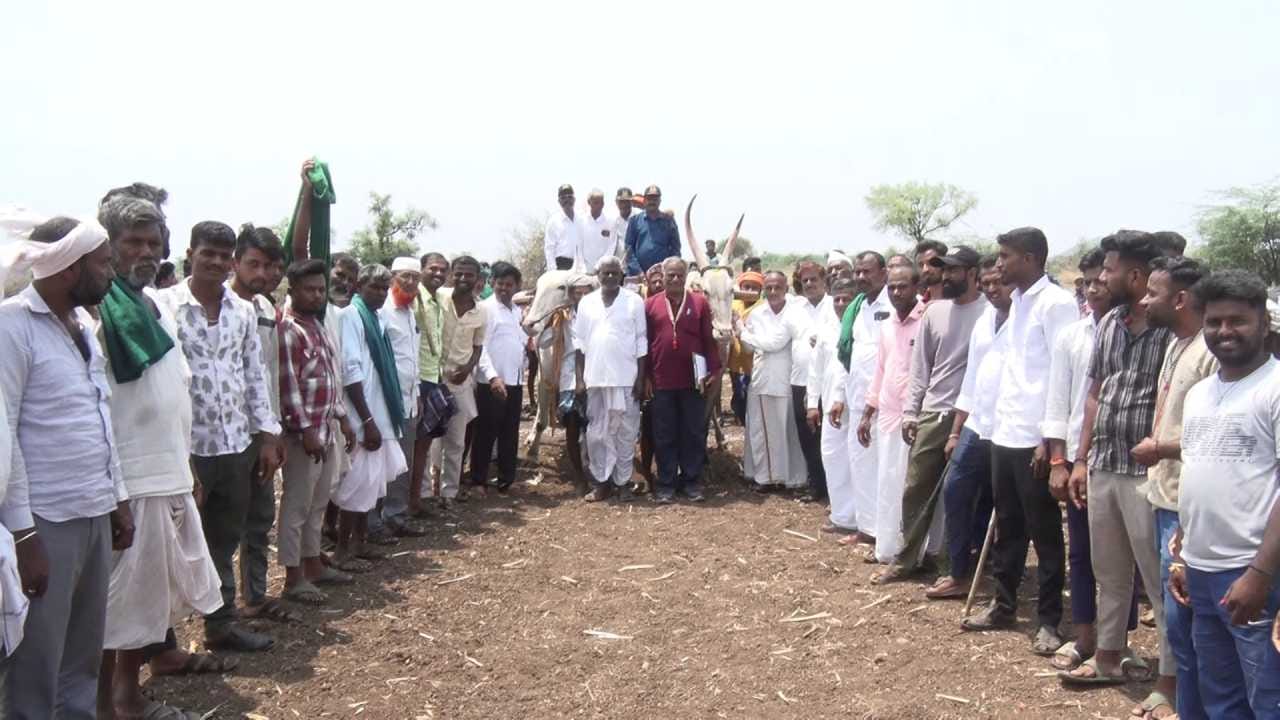 ಸಾವಿರಾರು ಜನರು ಬಂಡಿ ಓಟ ನೋಡಲು ಆಗಮಿಸಿ ಕೇಕೆ, ಸಿಳ್ಳೆ, ಚಪ್ಪಾಳೆಗಳಿಂದ ಎತ್ತುಗಳಿಗೆ ಹುಮ್ಮಸ್ಸು ತುಂಬಿದರು. ಅಭಿಮಾನಿಗಳು ಎತ್ತುಗಳ ಜೊತೆಗೆ ಓಡಿ ಉತ್ಸಾಹ ಹೆಚ್ಚಿಸಿದರು. ಈ ಸಂಭ್ರಮ ಗ್ರಾಮೀಣ ಕ್ರೀಡೆಗಳ ಜೀವಂತಿಕೆಯನ್ನು ತೋರಿಸಿತು.
