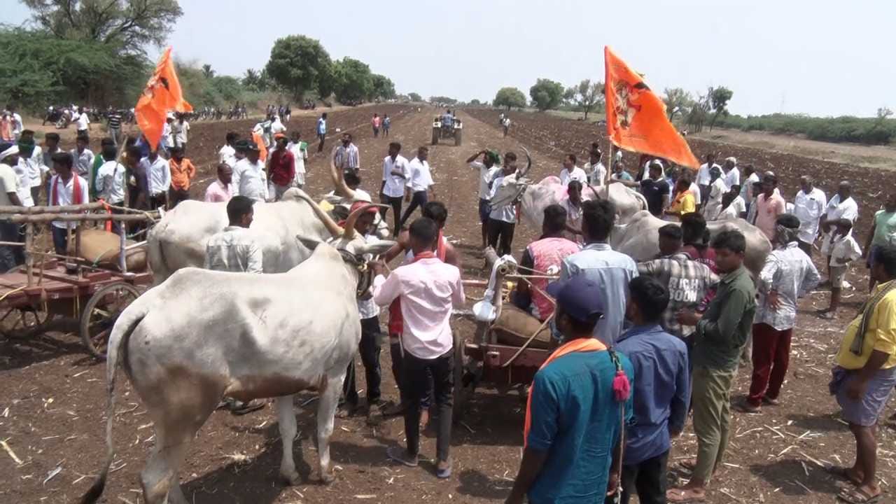 ಇಂತಹ ಸ್ಪರ್ಧೆಗಳು ನಶಿಸಿಹೋಗುತ್ತಿರುವ ಗ್ರಾಮೀಣ ಕ್ರೀಡೆಗಳನ್ನು ಉಳಿಸುವಲ್ಲಿ ಪ್ರಮುಖ ಪಾತ್ರವಹಿಸುತ್ತಿವೆ. ಯುವಜನತೆಗೆ ಈ ಕ್ರೀಡೆಗಳನ್ನು ಪರಿಚಯಿಸುವ ಮೂಲಕ ಪರಂಪರೆ ಮುಂದುವರಿಯುತ್ತಿದೆ. ಡಂಬಳದ ಈ ಕಾರ್ಯಕ್ರಮ ಗ್ರಾಮೀಣ ಸಂಸ್ಕೃತಿಯ ಉಳಿವಿಗೆ ಉತ್ತಮ ಉದಾಹರಣೆಯಾಗಿದೆ.
