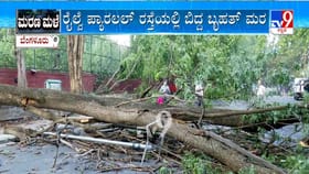 ರಾಜಾಜಿನಗರದ ESI ಆಸ್ಪತ್ರೆ ಬಳಿ ಮರ ಬಿದ್ದು ಆಟೋಗಳು ಜಖಂ