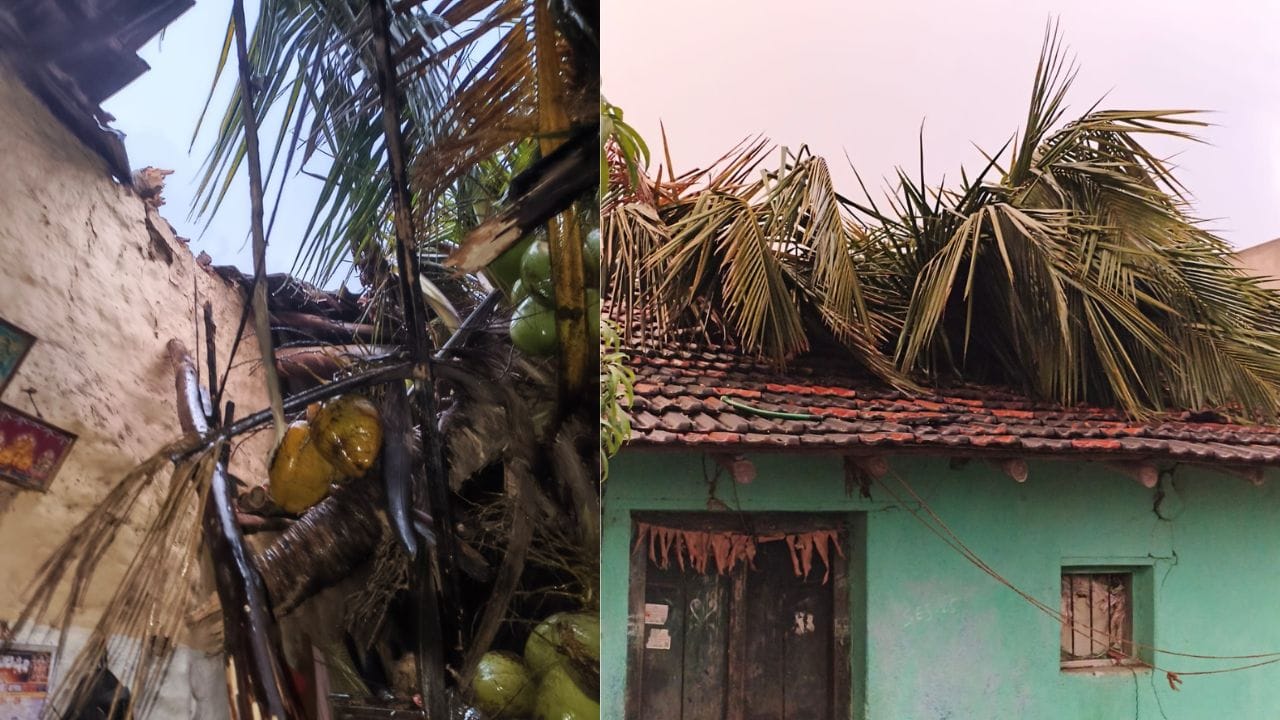 ಬಿರುಗಾಳಿ ಮಳೆಗೆ ಮನೆ ಮೇಲೆ ಬಿದ್ದ ತೆಂಗಿನ ಮರ; ತಾಯಿ-ಮಗನಿಗೆ ಗಾಯ
