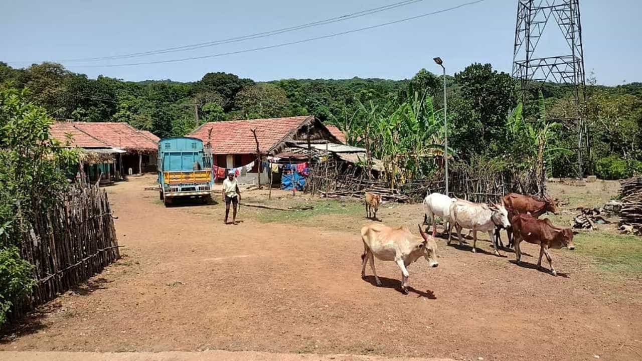 ಭೀಮಗಢ ಅಭಯಾರಣ್ಯದಲ್ಲಿ ಬದುಕು ಅಸ್ತವ್ಯಸ್ತ: ಕಾಡು ಬಿಡಲು ಕಾಯುತ್ತಿವೆ 450 ಕುಟುಂಬಗಳು!