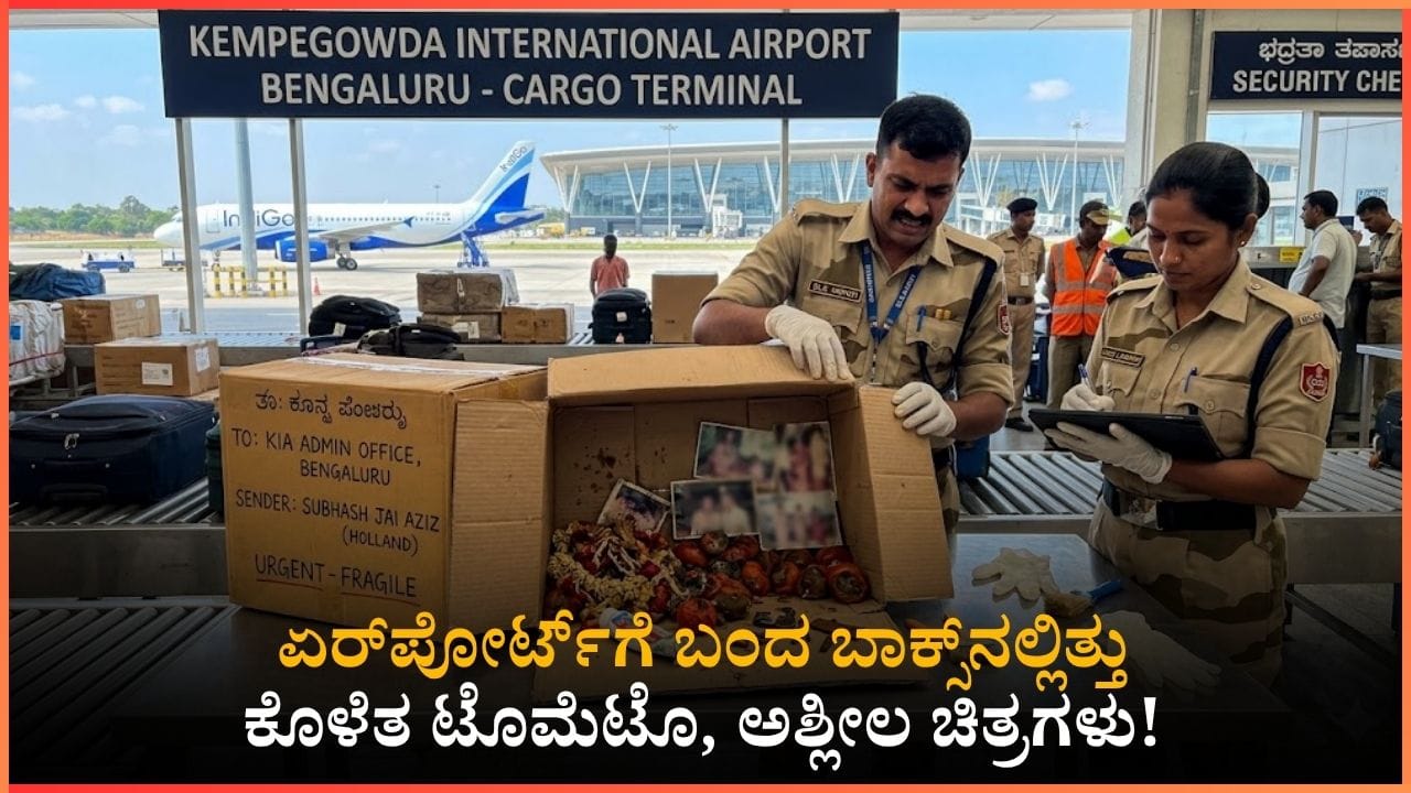 ಏರ್‌ಪೋರ್ಟ್‌ಗೆ ಬಂದ ಬಾಕ್ಸ್‌ನಲ್ಲಿತ್ತು ಕೊಳೆತ ಟೊಮೆಟೊ, ಅಶ್ಲೀಲ ಚಿತ್ರಗಳು! ಆರೋಪಿ ಕೊಟ್ಟ ಕಾರಣ ಕೇಳಿದ್ರೆ ಶಾಕ್ ಆಗ್ತೀರಾ!