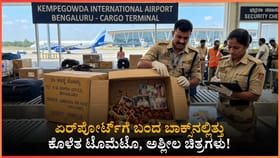 ಏರ್‌ಪೋರ್ಟ್‌ಗೆ ಬಂದ ಬಾಕ್ಸ್‌ನಲ್ಲಿತ್ತು ಕೊಳೆತ ಟೊಮೆಟೊ, ಅಶ್ಲೀಲ ಚಿತ್ರಗಳು!
