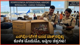 ಬೆಂಗಳೂರಿಗರಿಗೆ ಬ್ಯಾಡ್​​ ನ್ಯೂಸ್​: ಸದ್ಯ ಸಾರ್ವಜನಿಕ ಸೇವೆಗೆ ಲಭ್ಯವಾಗಲ್ಲ ಬಹುನಿರೀಕ್ಷಿತ ಈ ಫ್ಲೈಓವರ್​