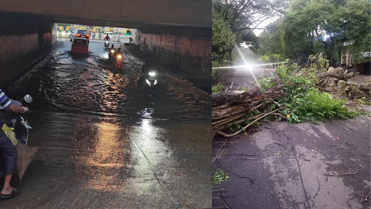 ಮಳೆಗೆ ಬೆಂಗಳೂರಲ್ಲಿ ಸಾಲು ಸಾಲು ಅನಾಹುತ: ವಾಹನ ಸವಾರರೇ ಈ ರಸ್ತೆಗಳಲ್ಲಿ ಸಂಚರಿಸುವ ಮುನ್ನ ಗಮನಿಸಿ ಮಳೆಗೆ ಬೆಂಗಳೂರಲ್ಲಿ ಸಾಲು ಸಾಲು ಅನಾಹುತ: ವಾಹನ ಸವಾರರೇ ಈ ರಸ್ತೆಗಳಲ್ಲಿ ಸಂಚರಿಸುವ ಮುನ್ನ ಗಮನಿಸಿ