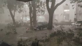 ಬೆಂಗಳೂರಿನಲ್ಲಿ ಬಿರುಗಾಳಿ ಸಹಿತ ಮಳೆಗೆ ಮರಗಳು ಧರೆಗೆ