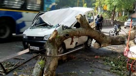 ಜೆಪಿ ನಗರದಲ್ಲಿ ಕಾರಿನ ಮೇಲೆ ಬಿದ್ದ ಬೃಹತ್ ಮರ