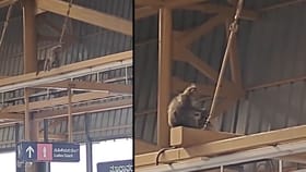 ನಮ್ಮ ಮೆಟ್ರೋದಲ್ಲಿ ಮನಕಲಕುವ ದೃಶ್ಯ