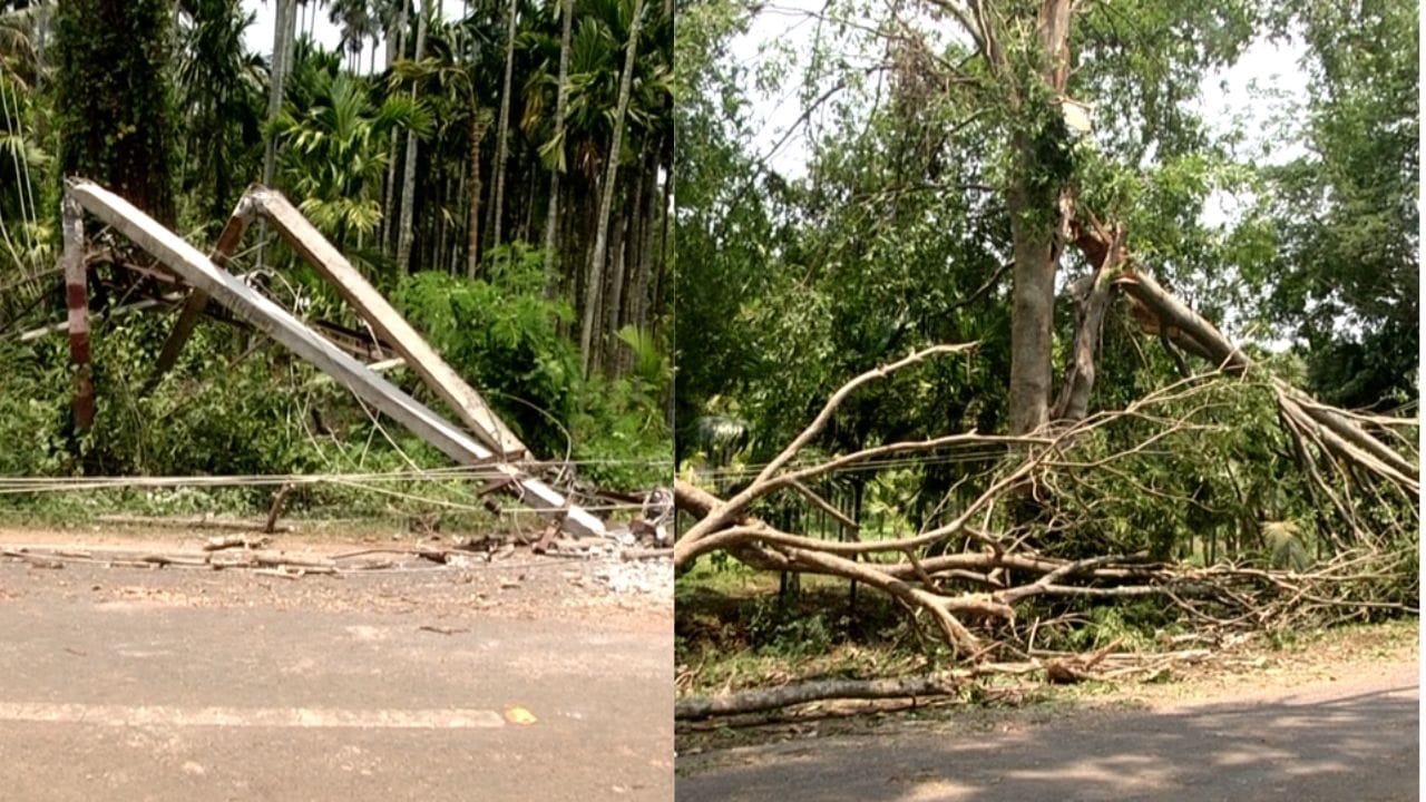 ಲಕ್ಷಾಂತರ ರೂಪಾಯಿ ವೆಚ್ಚ ಮಾಡಿದ್ದ ನೂರಾರು ಎಕರೆ ಅಡಿಕೆ ತೋಟವು ಗಾಳಿ  ಮಳೆಗೆ ನಾಶವಾಗಿದ್ದು, ಇದರಿಂದ ಒಂದೊಂದು ಎಕೆರೆಗೆ ಎರಡರಿಂದ ಮೂರು ಲಕ್ಷ ರೂಪಾಯಿ ನಷ್ಟವಾಗಿದೆ. ಮಲೆನಾಡಿನಲ್ಲಿ ಎಂದೂ ಕಂಡರಿಯದ ಈ ಬಿರುಗಾಳಿ ಮಳೆಗೆ ಭದ್ರಾವತಿ ತಾಲೂಕಿನ ಜನರು ತತ್ತರಿಸಿಹೋಗಿದ್ದಾರೆ. 