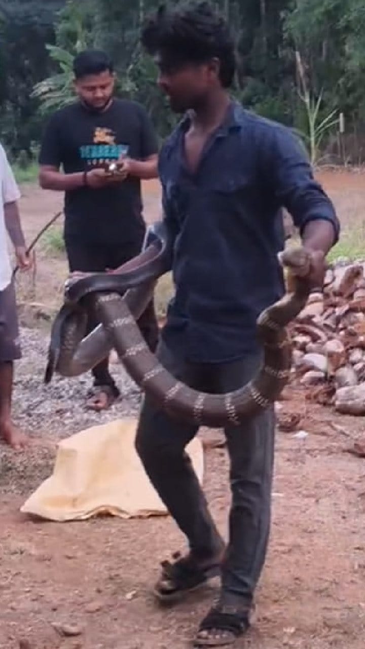 ಅಂಕೋಲದ ಮನೆಯಲ್ಲಿತ್ತು 16 ಅಡಿ ಉದ್ದದ ಹೆಬ್ಬಾವು