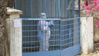 ಬೆಂಗಳೂರು: ಕುಡಿದವನಿಗೆ ಟೆಸ್ಟ್ ಡ್ರೈವ್​ಗೆ ಕಾರು ನೀಡಿದ ಶೋರೂಂ ಸಿಬ್ಬಂದಿ, ನಾಲ್ಕು ವಾಹನಗಳು ಜಖಂ, ಓರ್ವನ ಕಾಲು ಮುರಿತ!