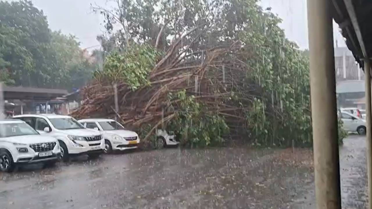ವಿಜಯನಗರ, R​.T.ನಗರ, ಶೇಷಾದ್ರಿಪುರಂ, ಜಯನಗರ, ಚಾಮರಾಜಪೇಟೆ, ಜೆಪಿ ನಗರ, ಕಬ್ಬನ್​ಪಾರ್ಕ್​, ಹೈಗ್ರೌಂಡ್ಸ್​​, ಉಪ್ಪಾರಪೇಟೆ, ಹಲಸೂರುಗೇಟ್​, ವಿಲ್ಸನ್​ಗಾರ್ಡನ್​, ಮೈಕೋಲೇಔಟ್, ಸದಾಶಿವನಗರದಲ್ಲಿ​ ಬೃಹತ್ ಮರಗಳು ಧರೆಗುರುಳಿವೆ.
