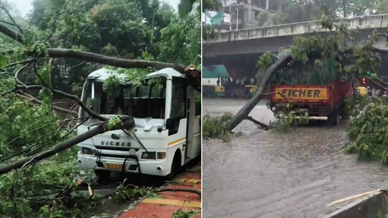ಗುಡುಗು, ಸಿಡಿಲು ಆಲಿಕಲ್ಲು ಮಳೆಗೆ ಬಸವನಗುಡಿಯಲ್ಲಿ ಮರಗಳೇ ಧರೆಗುರುಳಿವೆ. ಇದ್ರಿಂದ ಕಾರು, ಬಸ್, ಲಾರಿ ಹಾಗೂ ಬೈಕ್​ಗಳು ಜಖಂಗೊಂಡಿವೆ. ಲಾರಿ ಹೋಗ್ತಿದ್ದಾಗ ಮರ ಬಿದಿದ್ದು, ಬಸ್ ಹಾಗೂ ಬೈಕ್​ಗಳಿಗೂ ಹಾನಿಯಾಗಿವೆ.
