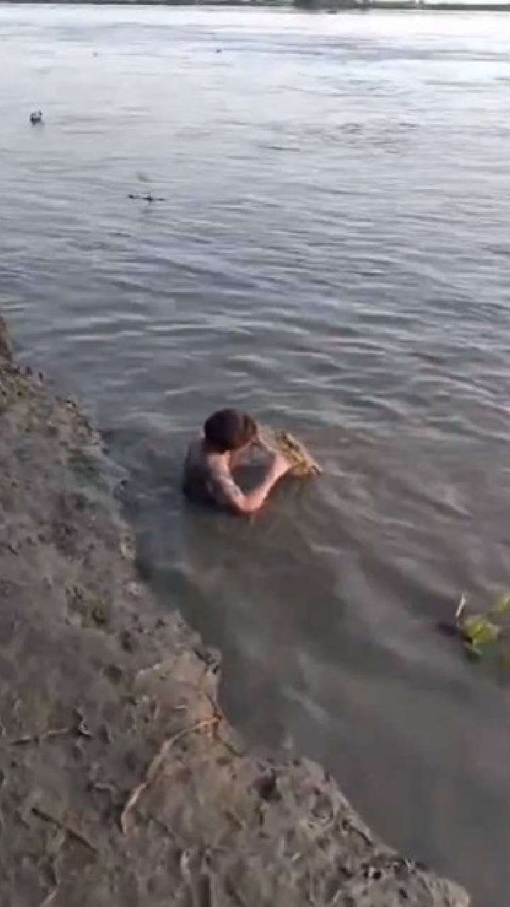 ಮೊಸಳೆಯ ಹಲ್ಲುಜ್ಜಿದ ಬಾಲಕ