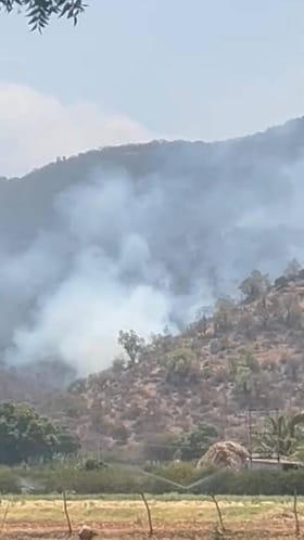 ಬಿಳಿಗಿರಿ ಹುಲಿ ಸಂರಕ್ಷಿತ ಪ್ರದೇಶದಲ್ಲಿ ಮತ್ತೆ ಬೆಂಕಿ: 20 ಎಕರೆ ಬೆಂಕಿಗಾಹುತಿ