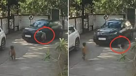 ಮೈಮೇಲೆ ಹರಿದು ಕಾರು, ಕೆಲವೇ ಕ್ಷಣಗಳಲ್ಲಿ ಪವಾಡವೆಂಬಂತೆ ಎದ್ದು ನಿಂತ ಬಾಲಕ