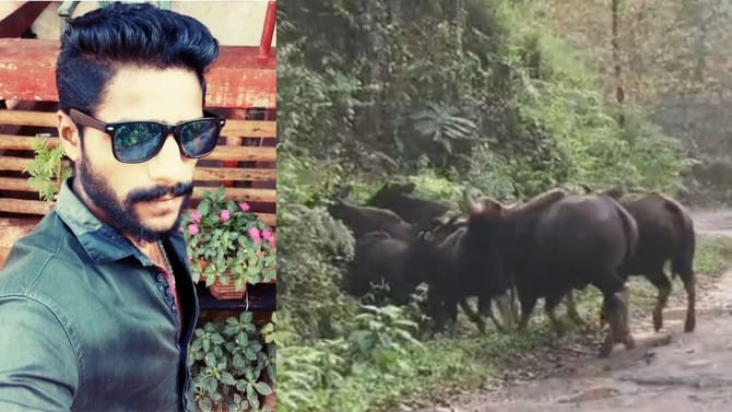 ಕಾಡುಕೋಣದ ದಾಳಿಗೆ ಪ್ರಾಣಬಿಟ್ಟ ಕಾಫಿ ತೋಟದ ಕೆಲಸಗಾರ