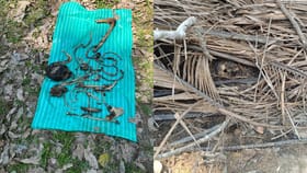 ಚಿಕ್ಕಮಗಳೂರು: ರಬ್ಬರ್ ತೋಟದಲ್ಲಿ ಸುಟ್ಟ ಅಸ್ಥಿಪಂಜರ ಪತ್ತೆ!