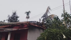 ಅಂಗನವಾಡಿ ಶಿಕ್ಷಕಿ ಮನೆಯ ಮೇಲೆ ಬಿದ್ದ ಮರ