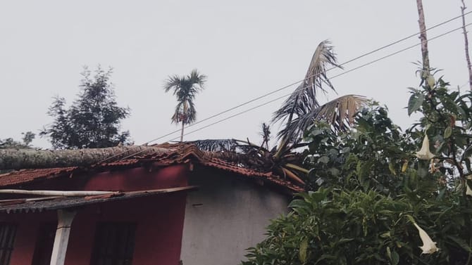 ಅಂಗನವಾಡಿ ಶಿಕ್ಷಕಿ ಮನೆಯ ಮೇಲೆ ಬಿದ್ದ ಮರ