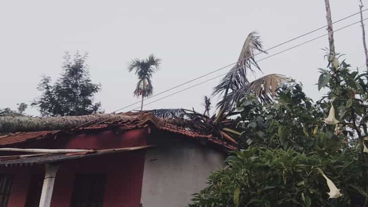 ಮೂಡಿಗೆರೆಯಲ್ಲಿ ಬಿರುಗಾಳಿ ಮಳೆ ಆರ್ಭಟ: ಅಂಗನವಾಡಿ ಶಿಕ್ಷಕಿ ಮನೆಯ ಮೇಲೆ ಬಿದ್ದ ಮರ; ರಸ್ತೆಗೆ ಉರುಳಿದ ವಿದ್ಯುತ್ ಕಂಬ! ಮೂಡಿಗೆರೆಯಲ್ಲಿ ಬಿರುಗಾಳಿ ಮಳೆ ಆರ್ಭಟ: ಅಂಗನವಾಡಿ ಶಿಕ್ಷಕಿ ಮನೆಯ ಮೇಲೆ ಬಿದ್ದ ಮರ; ರಸ್ತೆಗೆ ಉರುಳಿದ ವಿದ್ಯುತ್ ಕಂಬ!