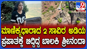 2000 ಅಡಿ ಪ್ರಪಾತ, ದೊಡ್ಡ ಗಿಡ-ಮರಗಳು: ಶ್ರೀನಂದಾ ಬಿದ್ದ ಸ್ಥಳ ಭಯಾನಕವಾಗಿದೆ