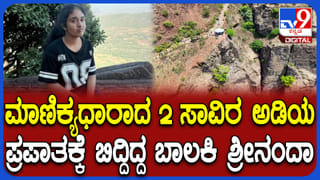10 ಸಾವಿರ ಜನರಿಗೆ ವಿಷ್ಣುವರ್ಧನ್ ಅಭಿಮಾನಿಗಳಿಂದ ವೆಜ್, ನಾನ್-ವೆಜ್ ಊಟ