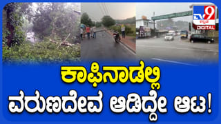 Chikkamagaluru Rain: ಬಿಸಿಲಿಗೆ ಕೆಂಗಟ್ಟ ಚಿಕ್ಕಮಗಳೂರು ಜನರಿಗೆ ತಂಪೆರೆದ ವರುಣ