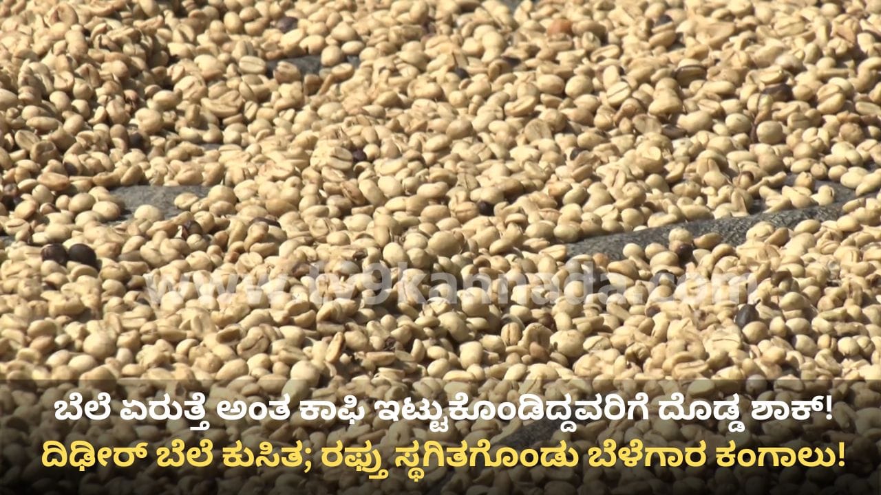 ಕಾಫಿಗೂ ತಟ್ಟಿದ ಯುದ್ಧದ ಬಿಸಿ! ರಫ್ತು ಸ್ಥಗಿತಗೊಂಡು ಕಂಗಾಲಾದ ಬೆಳೆಗಾರ; ಶೇ 20ರಷ್ಟು ಕುಸಿದ ದರ ಕಾಫಿಗೂ ತಟ್ಟಿದ ಯುದ್ಧದ ಬಿಸಿ! ರಫ್ತು ಸ್ಥಗಿತಗೊಂಡು ಕಂಗಾಲಾದ ಬೆಳೆಗಾರ; ಶೇ 20ರಷ್ಟು ಕುಸಿದ ದರ