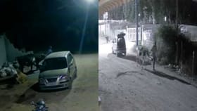 ಕತ್ತಲಲ್ಲಿ ಬಂದ್ರು,ಕಾರಲ್ಲಿ ಬಂದು ಹಸು ಕದ್ಕೊಂಡು ಹೋದ್ರು!