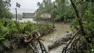 ಬೆಂಗಳೂರಿನ ಐಐಎಂನ ವಾಲ್ ಆಫ್ ಫೇಮ್​ನಲ್ಲಿ ಸ್ಥಾನ ಗಿಟ್ಟಿಸಿದ ಧ್ವಿತ್​ನ ಯಶೋಗಾಥೆ
