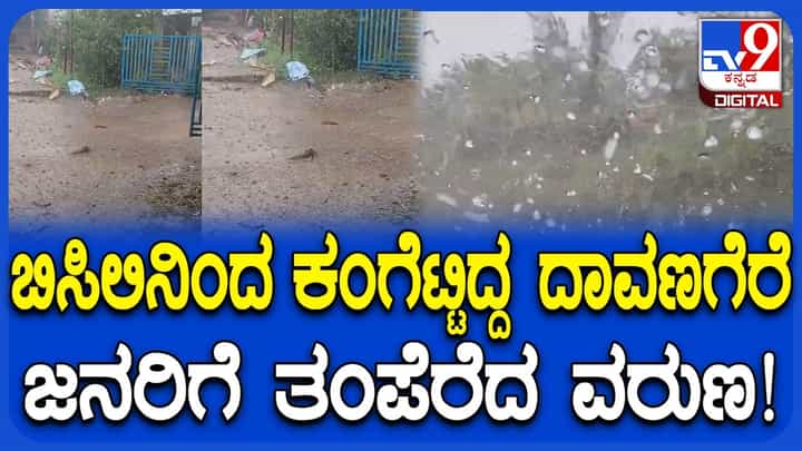 ದಾವಣಗೆರೆ ಜನರಿಗೆ ತಂಪೆರೆದ ಮಳೆರಾಯ: ಚನ್ನಗಿರಿ ತಾಲೂಕಿನ ಹಲವೆಡೆ ಅಕಾಲಿಕ ಮಳೆ ದಾವಣಗೆರೆ ಜನರಿಗೆ ತಂಪೆರೆದ ಮಳೆರಾಯ: ಚನ್ನಗಿರಿ ತಾಲೂಕಿನ ಹಲವೆಡೆ ಅಕಾಲಿಕ ಮಳೆ