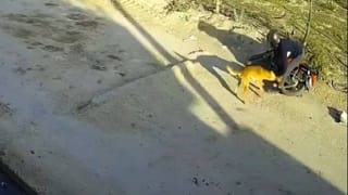 ಲೆಜೆಂಡರಿ ಗಾಯಕಿ ಆಶಾ ಭೋಸ್ಲೆ ಕನ್ನಡದಲ್ಲಿ 4ನೇ ಗೀತೆ ಹಾಡಲು ಒಪ್ಪಿಕೊಂಡಿದ್ದು ಹೇಗೆ?