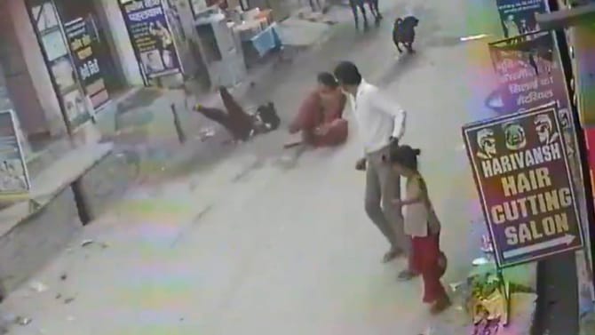 ಗೂಳಿ ಮತ್ತು ನಾಯಿ ನಡುವೆ ಕಾದಾಟ, ಇಬ್ಬರು ಮಹಿಳೆಯರಿಗೆ ಗಾಯ