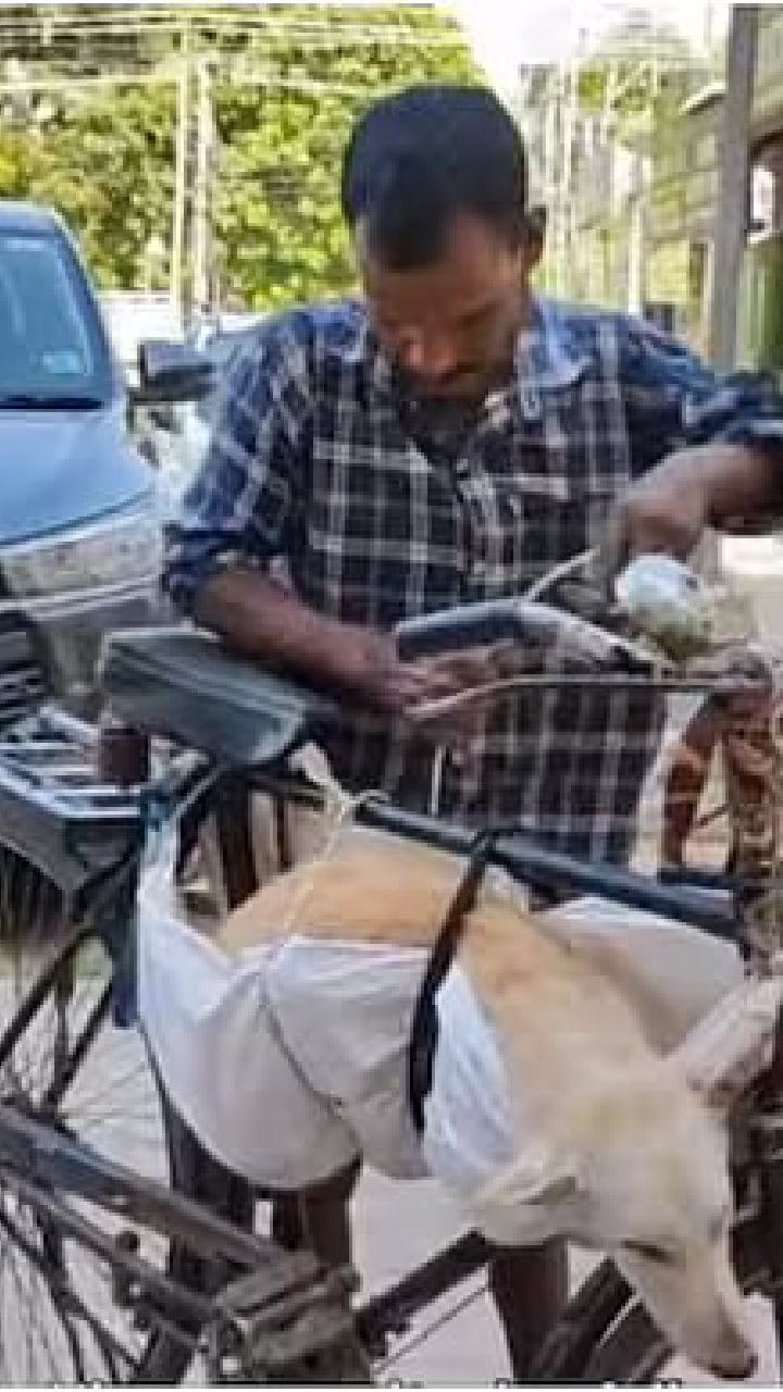 ಹುಷಾರಿಲ್ಲದ ಬೀದಿನಾಯಿಯನ್ನು ಸೈಕಲ್​ನಲ್ಲಿ ಕಟ್ಟಿಕೊಂಡು ಹೋಗಿ ಚಿಕಿತ್ಸೆ ಕೊಡಿಸಿದ ವ್ಯಕ್ತಿ