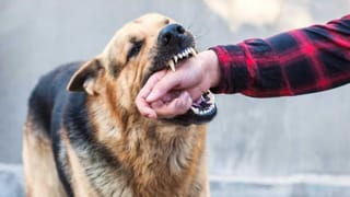 ಬಾಕಿ ವೇತನ ಕೇಳಿದ್ದಕ್ಕೆ ‘ಸಿದ್ಧಗಂಗಾ ಟೂರ್ಸ್’ ಮಾಲೀಕರಿಂದ ಚಾಲಕನಿಗೆ ಹಲ್ಲೆ: ಪೊಲೀಸರಿಂದಲೇ ಸಾಕ್ಷ್ಯ ನಾಶದ ಪ್ರಯತ್ನ?