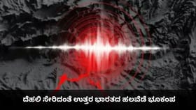 ದೆಹಲಿ ಸೇರಿದಂತೆ ಉತ್ತರ ಭಾರತದ ಹಲವೆಡೆ ಭೂಕಂಪ