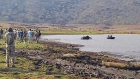 ಸತತ 17 ಗಂಟೆಗಳ ಕಾರ್ಯಾಚರಣೆ: ಕೆಸರಲ್ಲಿ ಸಿಲುಕಿದ್ದ ಮೂರು ಆನೆಗಳ ರಕ್ಷಣೆ