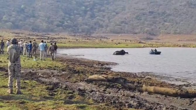 ಸತತ 17 ಗಂಟೆಗಳ ಕಾರ್ಯಾಚರಣೆ: ಕೆಸರಲ್ಲಿ ಸಿಲುಕಿದ್ದ ಮೂರು ಆನೆಗಳ ರಕ್ಷಣೆ