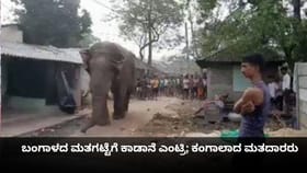 ಬಂಗಾಳದ ಮತಗಟ್ಟೆಗೆ ಕಾಡಾನೆ ಎಂಟ್ರಿ; ಕಂಗಾಲಾದ ಮತದಾರರು