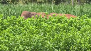 PBKS vs LSG: ಪಂದ್ಯ ಸೋತರೂ ಪ್ರೇಕ್ಷಕರ ಮನ ಗೆದ್ದ ಪಂತ್ ಬಾರಿಸಿದ ಸಿಕ್ಸರ್