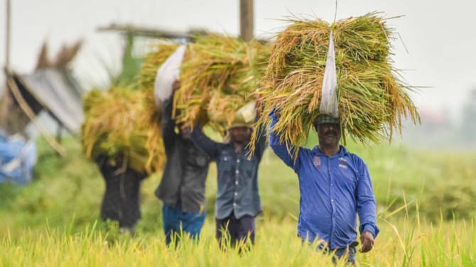 ಪಿಎಂ ಕಿಸಾನ್ ಸ್ಕೀಮ್​ಗೆ ನೊಂದಾಯಿಸುವುದು ಹೇಗೆ?