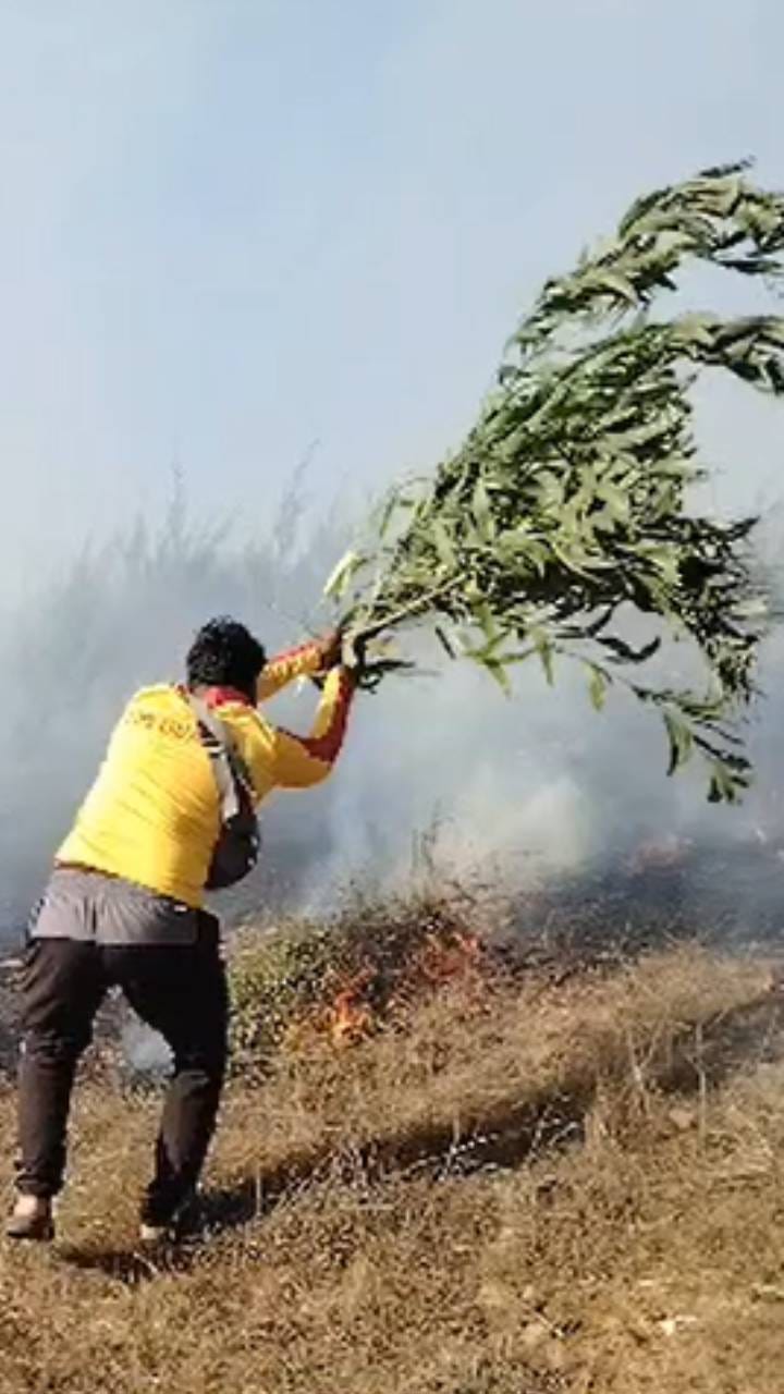 ವನ್ನಲ್ಲಿ ಗುಡ್ಡಕ್ಕೆ ಬೆಂಕಿ: ನಂದಿಸಲು ಹರಸಾಹಸ