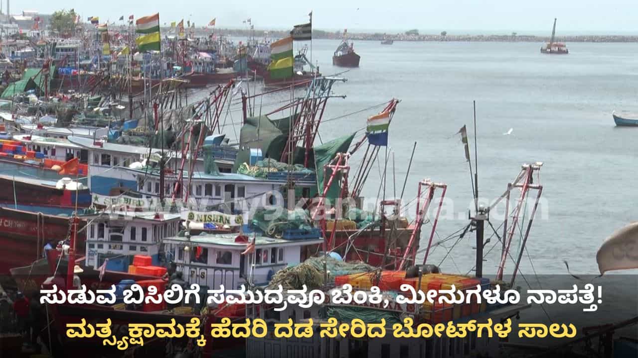 ಮೀನುಗಾರಿಕೆಗೆ ತಟ್ಟಿದ ತಾಪಮಾನ ಬಿಸಿ: ಮತ್ಸ್ಯಕ್ಷಾಮ, ಮೀನುಗಾರಿಕೆ ಸ್ಥಗಿತಗೊಳಿಸಿ ದಡ ಸೇರಿದ ಸಾವಿರಾರು ಬೋಟ್ಗಳು! ಮೀನುಗಾರಿಕೆಗೆ ತಟ್ಟಿದ ತಾಪಮಾನ ಬಿಸಿ: ಮತ್ಸ್ಯಕ್ಷಾಮ, ಮೀನುಗಾರಿಕೆ ಸ್ಥಗಿತಗೊಳಿಸಿ ದಡ ಸೇರಿದ ಸಾವಿರಾರು ಬೋಟ್ಗಳು!
