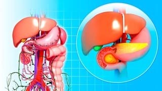 ಮಕ್ಕಳಲ್ಲಿ ಆಟಿಸಂ ಇರುವುದನ್ನು ಕಂಡುಹಿಡಿಯುವುದು ಹೇಗೆ? ಲಕ್ಷಣಗಳು ಹೇಗಿರುತ್ತವೆ?