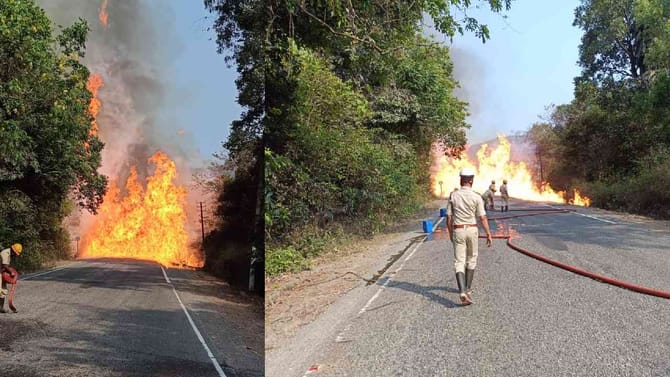 ಪೆಟ್ರೋಲ್ ಟ್ಯಾಂಕರ್​​ಗೆ ಬೆಂಕಿ, ರಸ್ತೆ ಪಕ್ಕದ ಅರಣ್ಯಕ್ಕೂ ಅವರಿಸಿದ ಜ್ವಾಲೆ